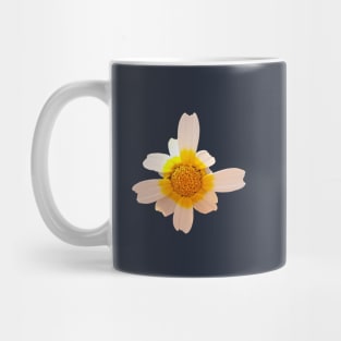 Crown Daisy Flower Closeup Mug